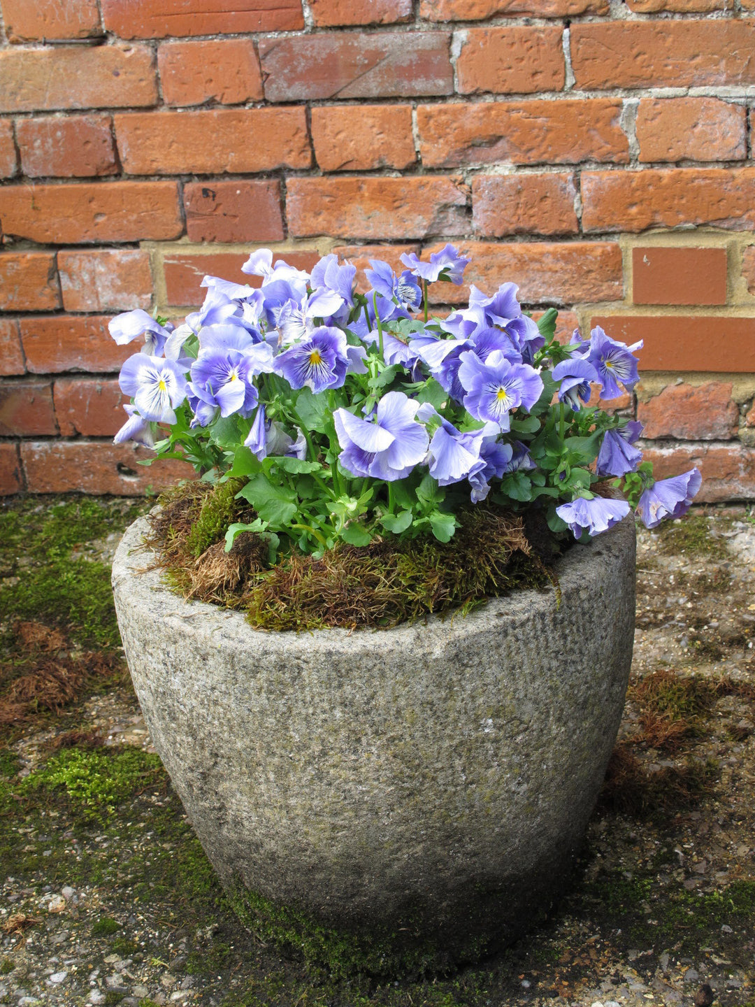 Spring Arrivals At Indigo