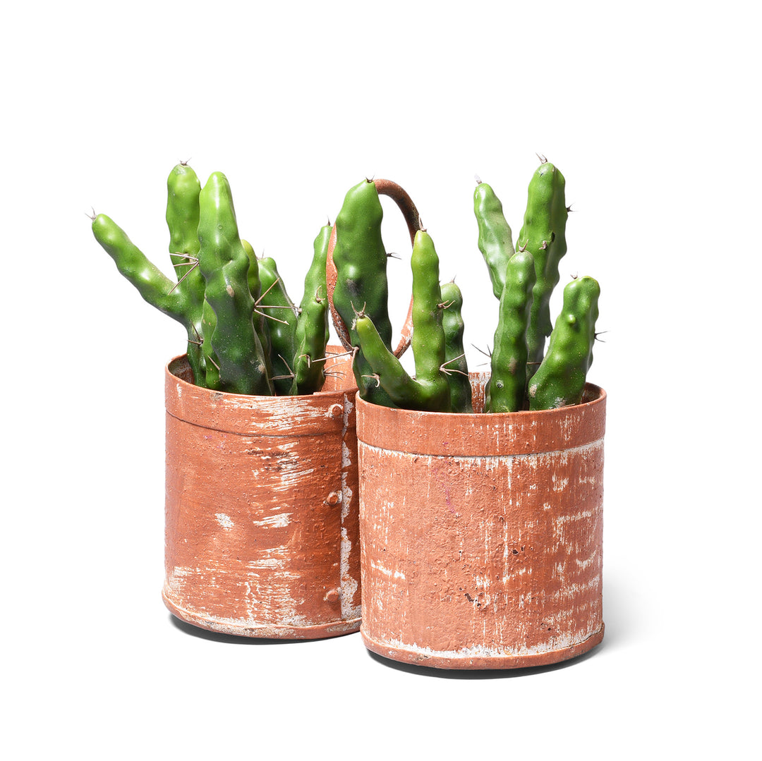 Plant Pot For Vintage 2 Way Painted Iron Bottle Carrier - Brown