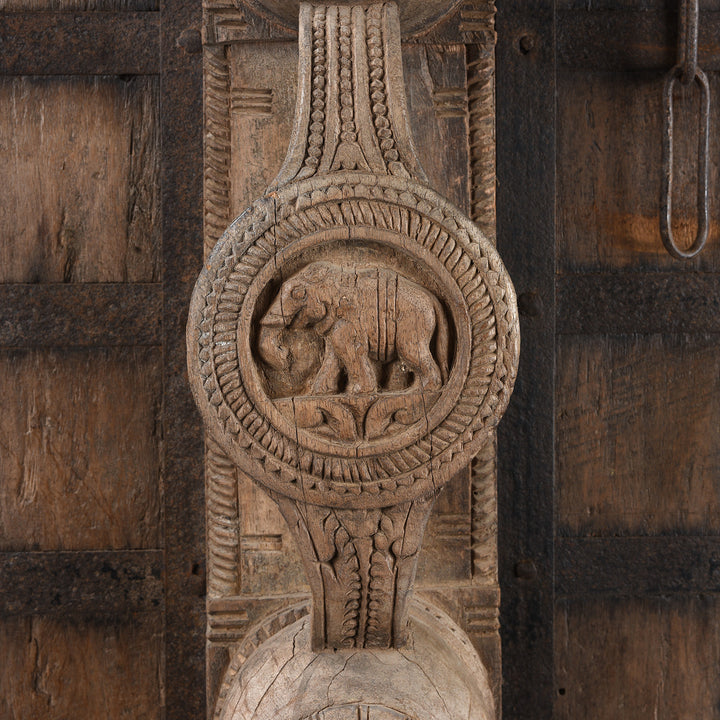Elephant Detail From Antique Iron Bound Jackfruit Wood Carved Door From Kerala - 19th Century | Indigo Antiques