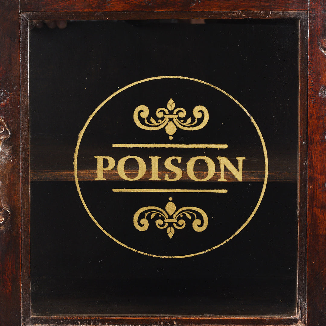 Poison Detail From Antique Glazed Teak Wall Cabinet From Gujarat - Ca 1930 | Indigo Antiques