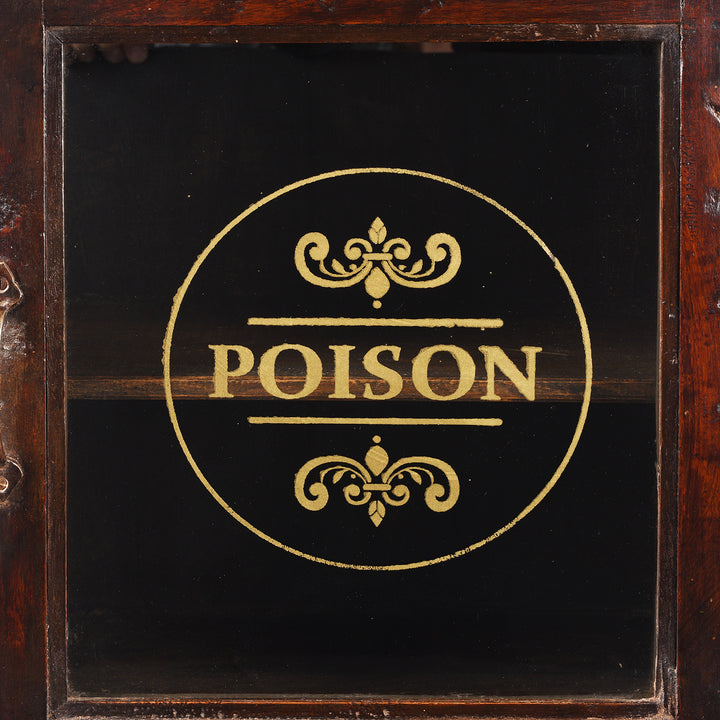 Poison Detail From Antique Glazed Teak Wall Cabinet From Gujarat - Ca 1930 | Indigo Antiques