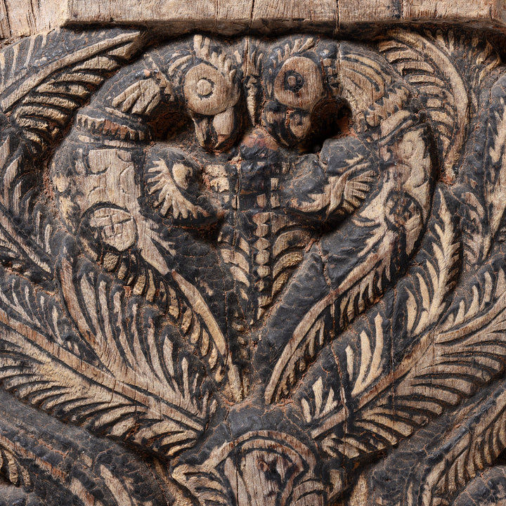 Carving Detail From Carved Indian Peacock Panel From A Chariot - 19thC | INDIGO ANTIQUES