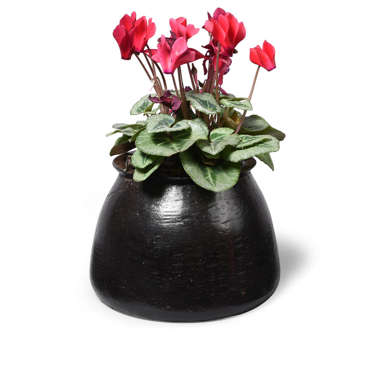 Vintage Indian Stone Plant Pot - Ca 1920's | Indigo Antiques