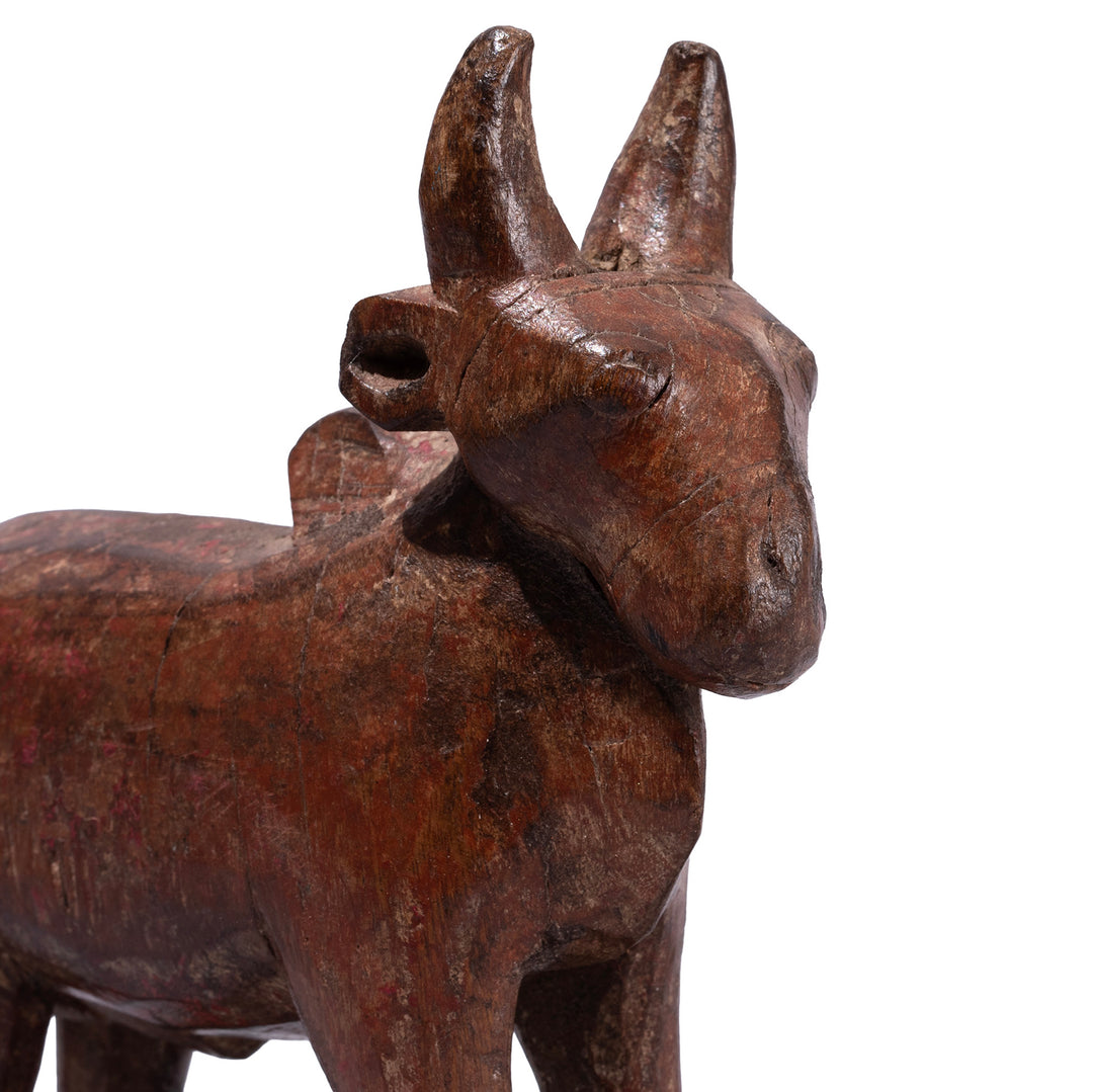 Face Detail From Old Carved Teak Nandi Bull Figure From Andhra Pradesh