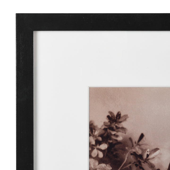 Frame Detail From Framed Photo Nawab Obeidullah Khan of Tonk - Copy of Original Plate | Indigo Antiques