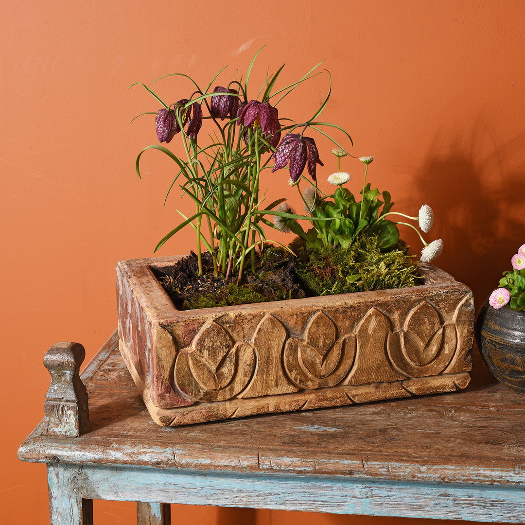 Antique Carved Stone Bird Bath From Rajasthan | Indigo Antiques