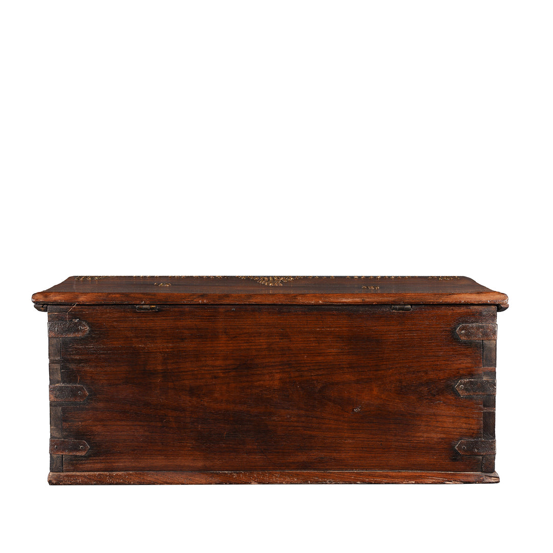 Back Of Antique Rosewood Studded 'Zanzibar' Chest From Kutch | Indigo Antiques