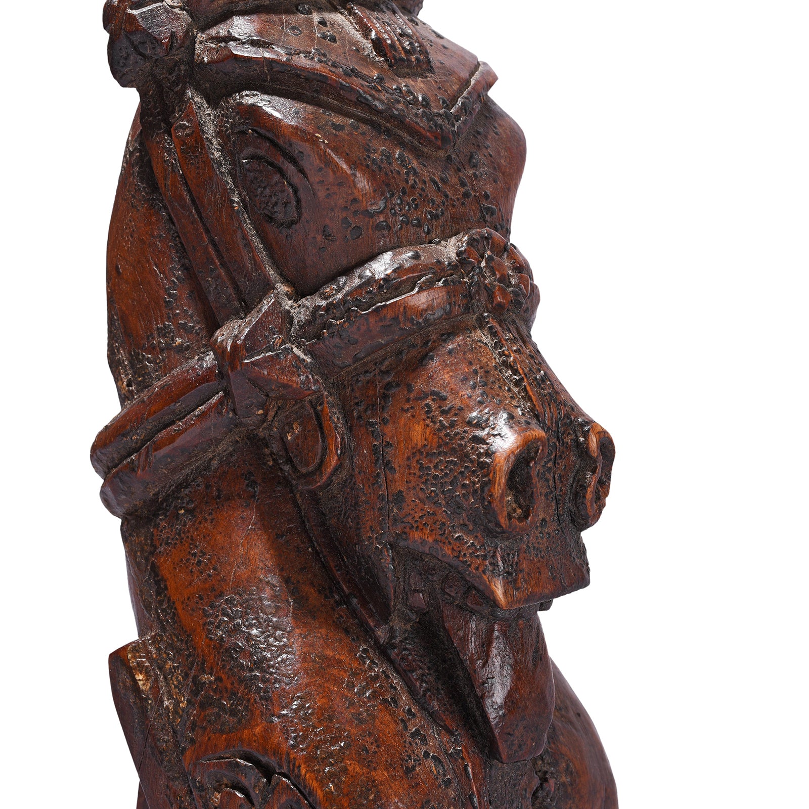 Detail From Antique Indian Carved Teak Horse Head | Indigo Antiques