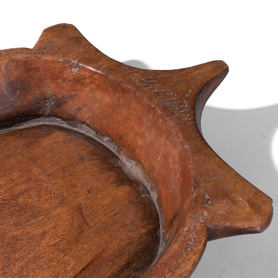 Detail From Antique Teak Parath Bowl Carved In The Form Of A Turtle 19th Century