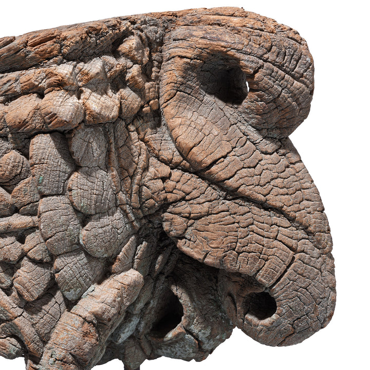Close Up Detail From Antique Indian Carved Teak Elephant &  Peacock Corbel | Indigo Antiques