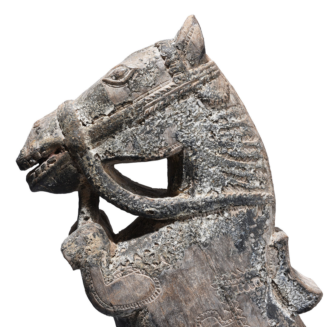 Face Profile Detail From Option 1 Carved Teak Horse Head Architectural Corbel On Iron Stand From Andhra Pradesh 19th Century