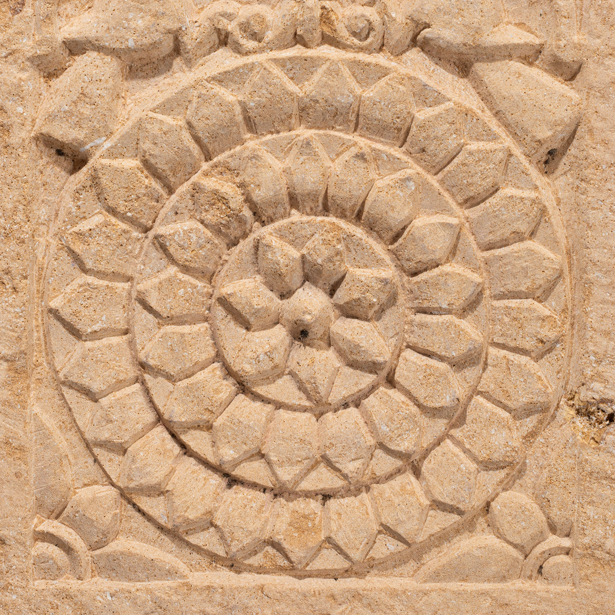 Detail From Early 19th Century Jaisalmer Golden Limestone Carved Panel With Peacocks And Lotus Flower On Iron Stand