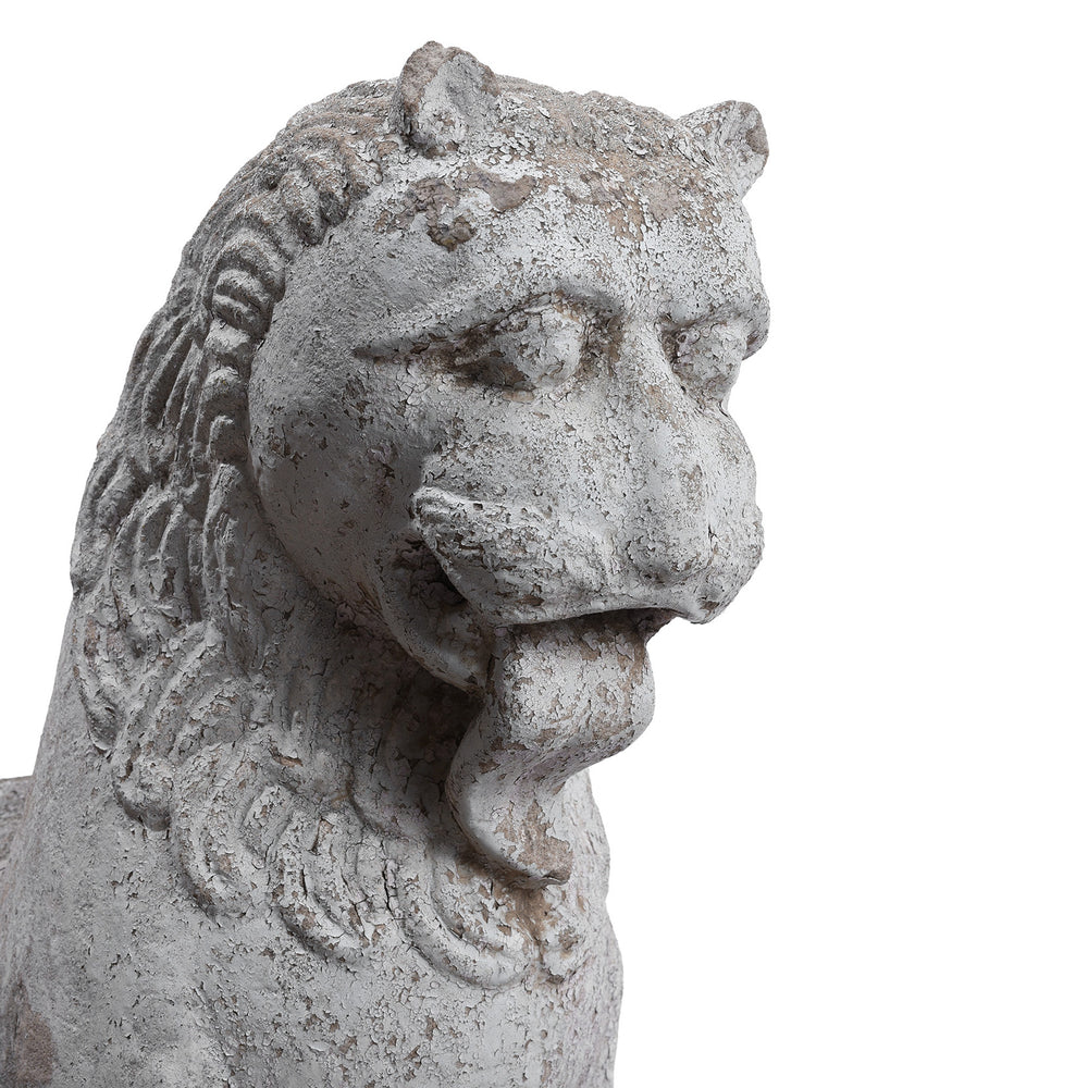 Face Detail From Antique Indian Carved Stone Lion
