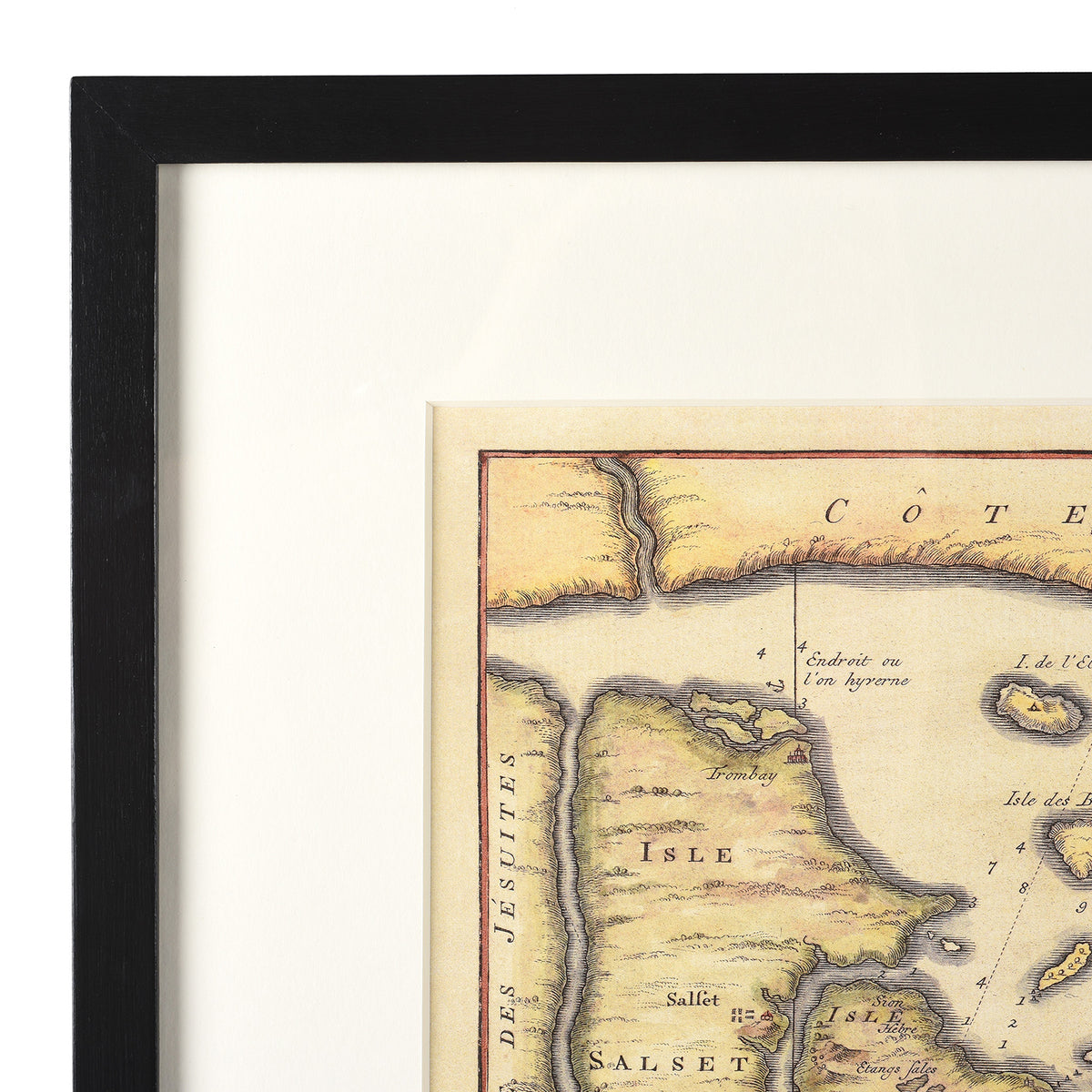 Frame Detail From Framed Indian Map Print - Bombay | Indigo Antiques 
