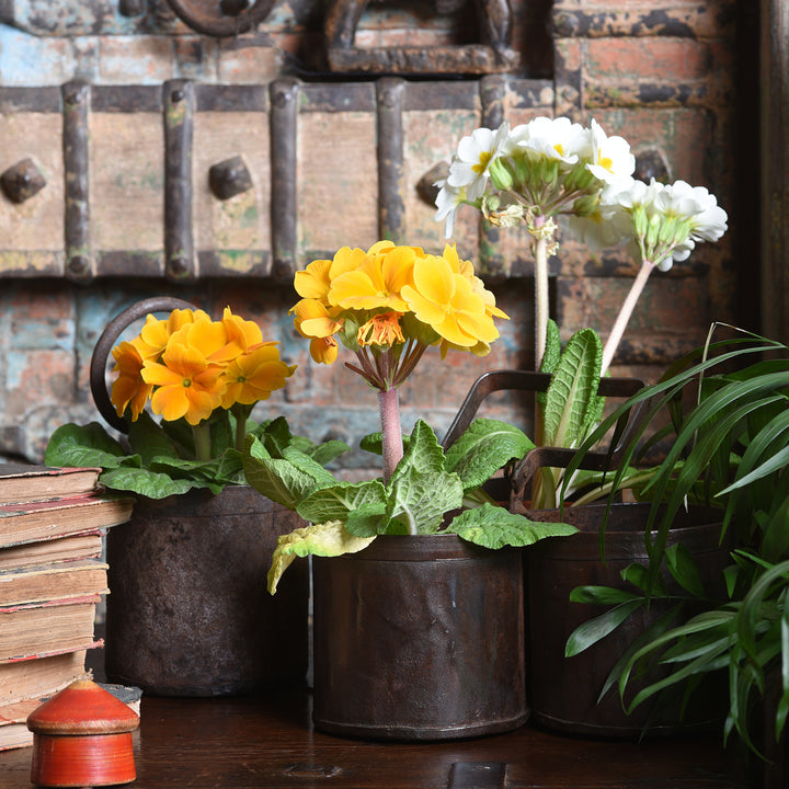 Vintage Iron Bottle Carrier - Various Sizes