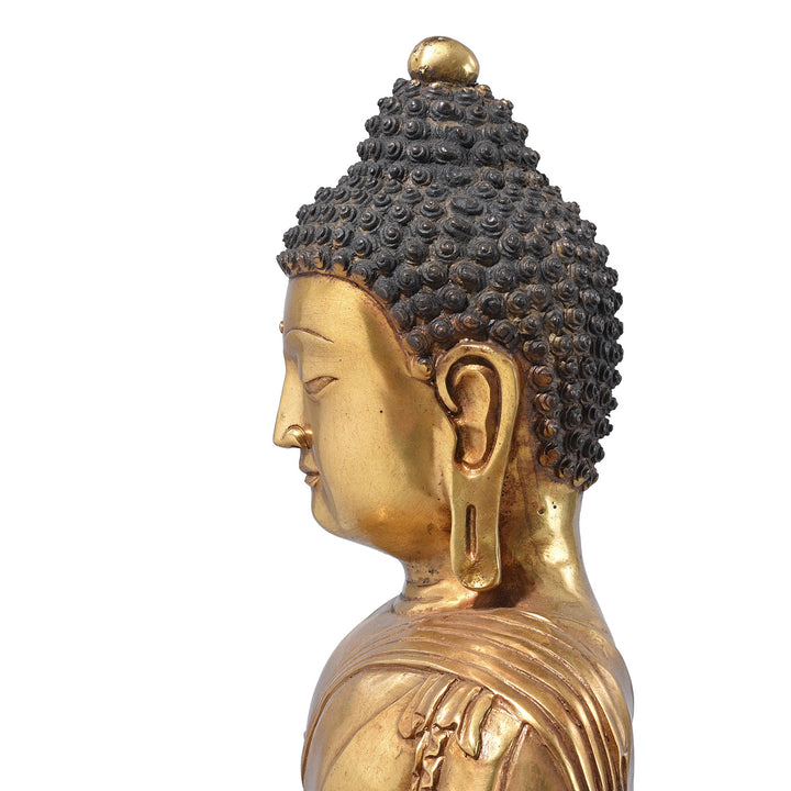 Portrait View Of Chinese Bronze Seated Buddha - Dhyana Mudra | Indigo Antiques