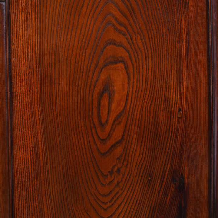 Grain Detail From Chinese Antique Taper Cabinet From Jiangsu | Indigo Antiques