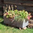 Carved Stone Trough Planter