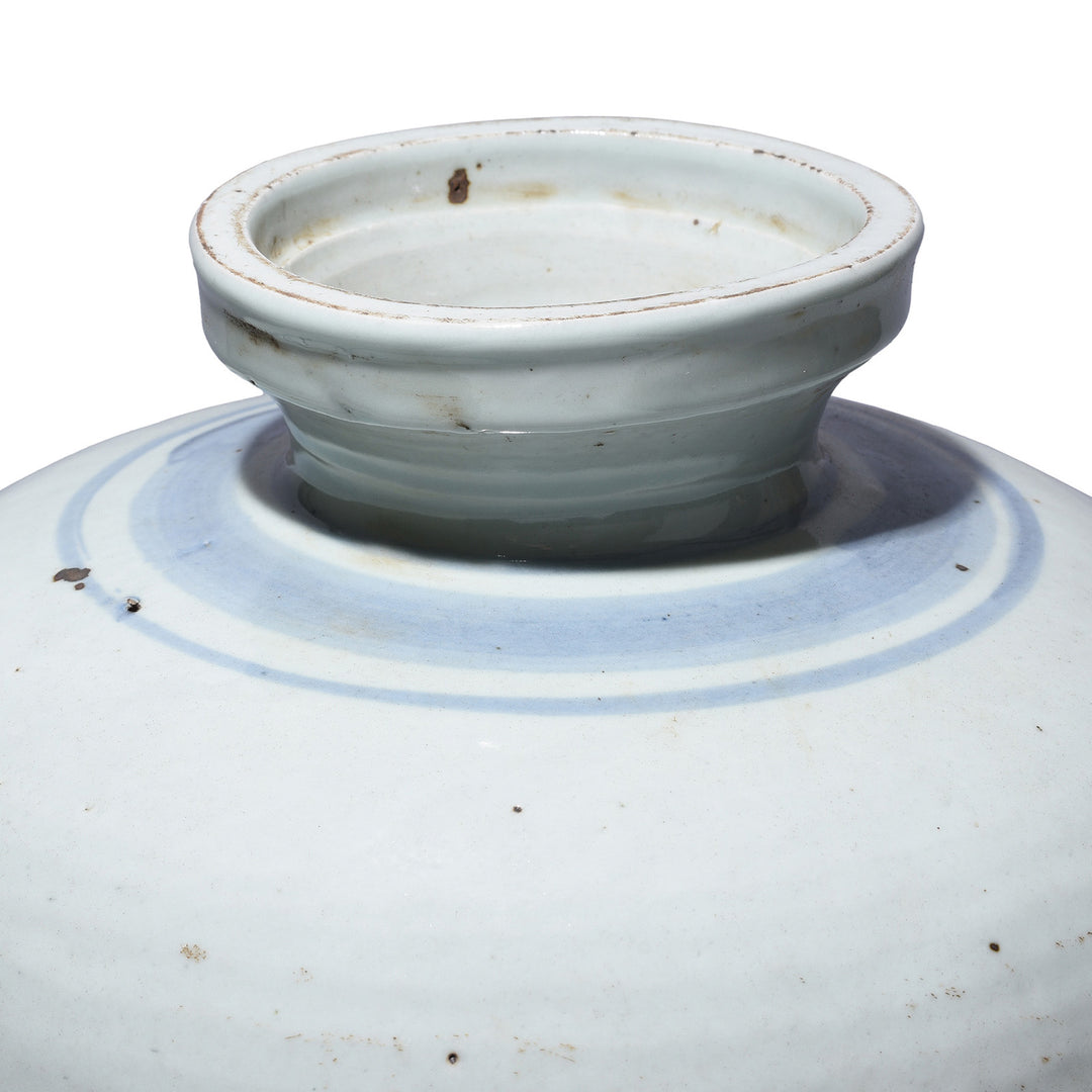 Rim Detail From Provincial Style Blue & White Porcelain Jar - Fish Design | Indigo Antiques