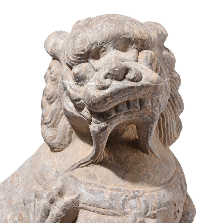 Face Detail From Pair Of Chinese Carved Stone Foo Dogs | Indigo Antiques