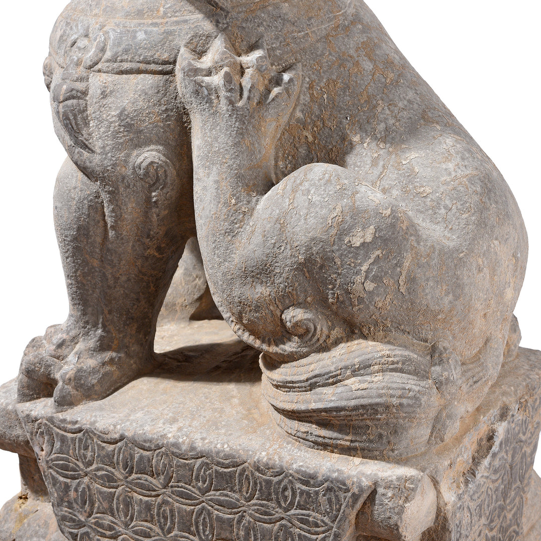 Paws Detail From Pair Of Chinese Carved Stone Foo Dogs | Indigo Antiques