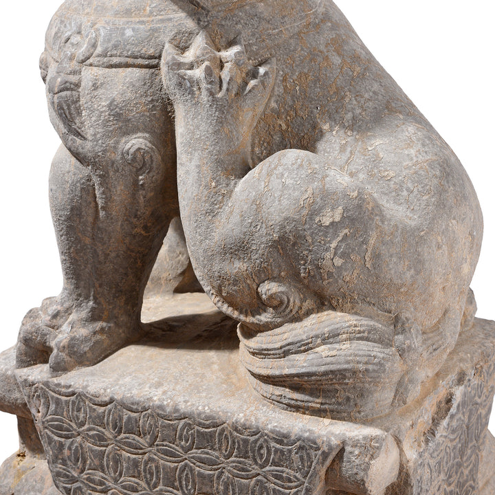 Paws Detail From Pair Of Chinese Carved Stone Foo Dogs | Indigo Antiques