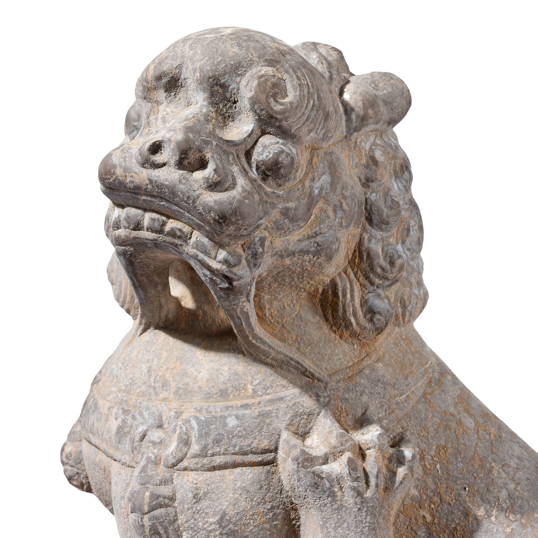 Face Detail From Pair Of Chinese Carved Stone Foo Dogs | Indigo Antiques
