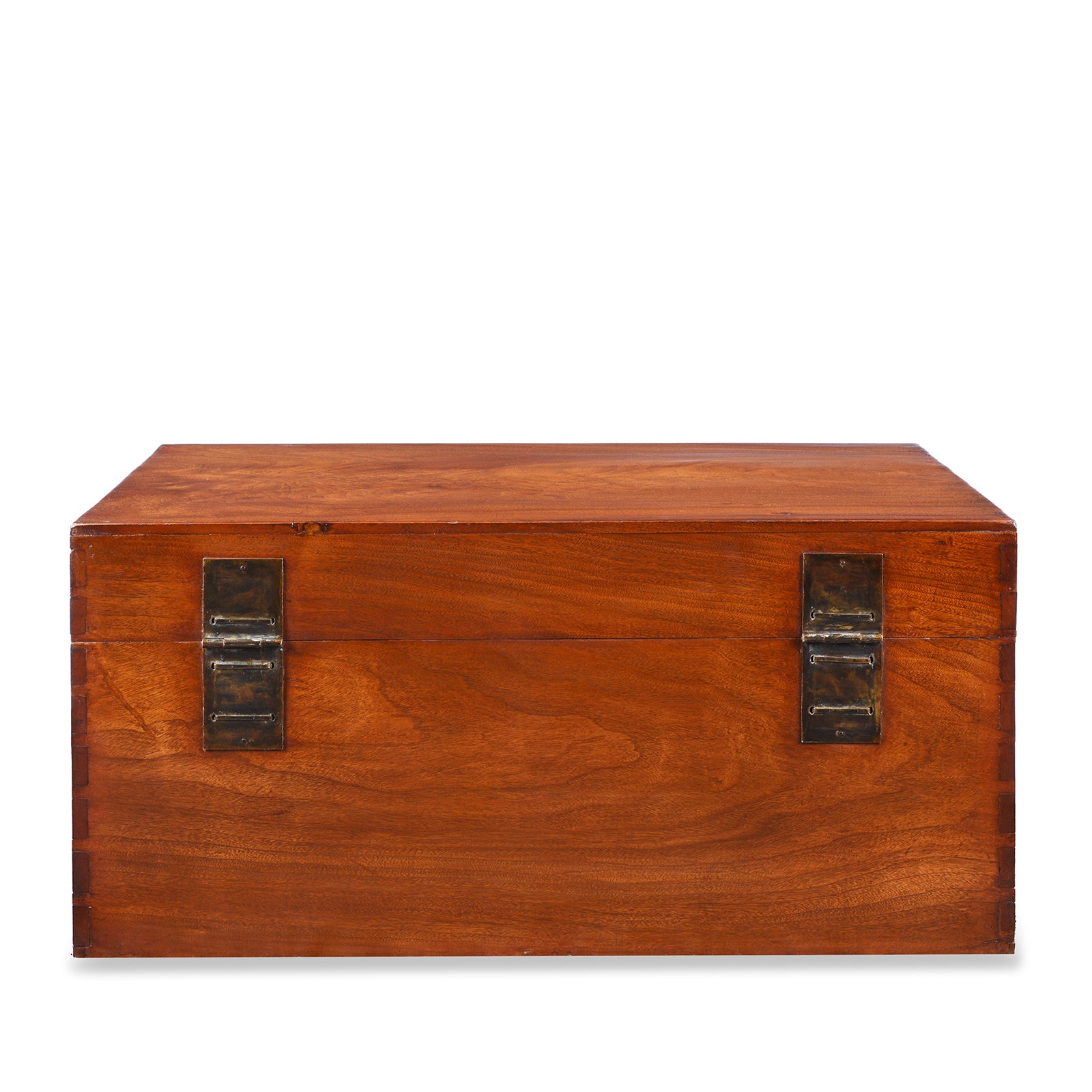 Chinese Camphor Trunk from Tianjin - 19thC