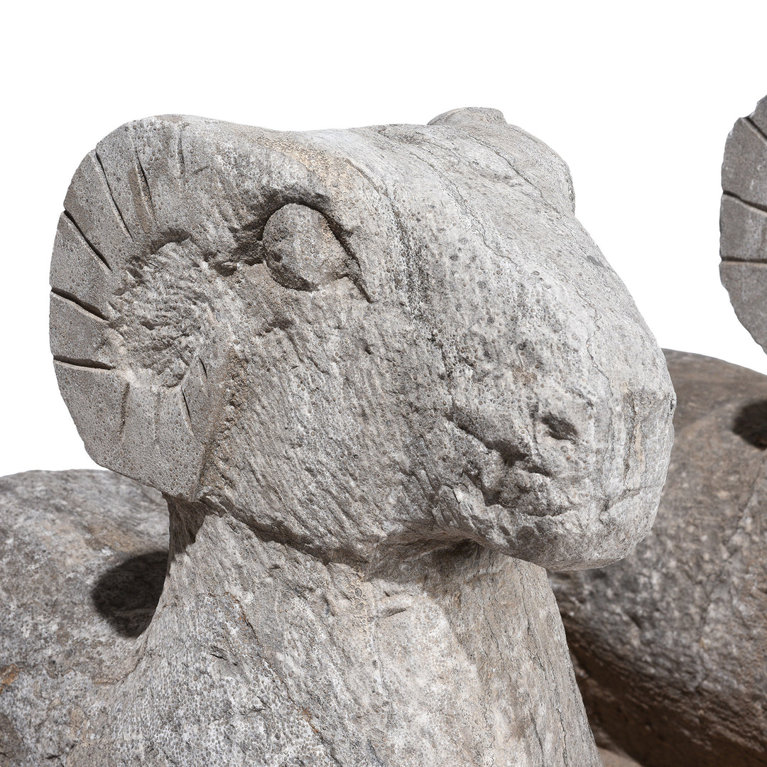 Stone Head Carving Detail From Hand Carved Granite Ram Sculpture From Hebei Province China