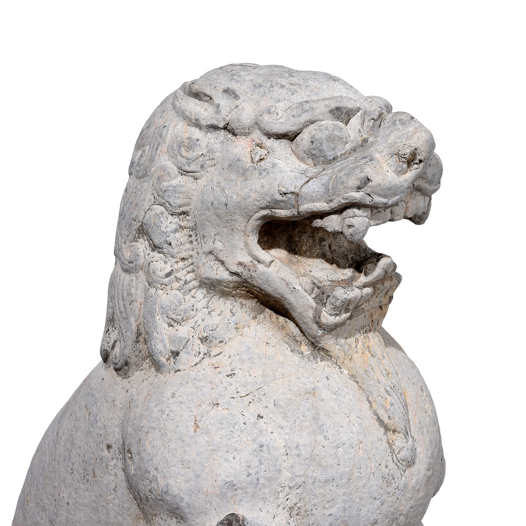 Face Detail From Pair Of Carved Stone Chinese Guardian Lions With Stylised Manes Seated On Circular Plinths