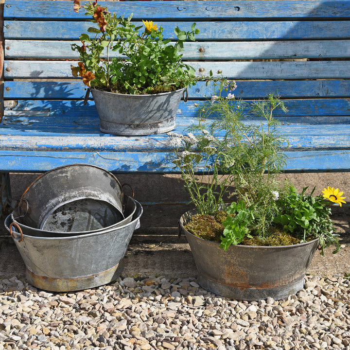 Lifestyle View Of Vintage Galvanised Planter - Various Sizes | Indigo Antiques