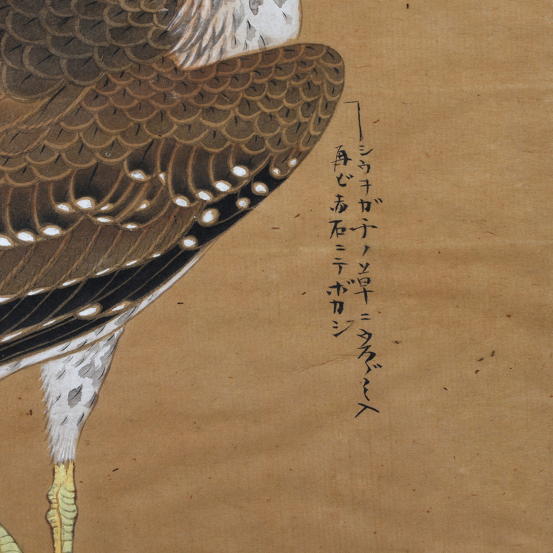 Script Detail From Japanese Watercolour Egret Painting By Akaishi Mitebokashi Circa 1900