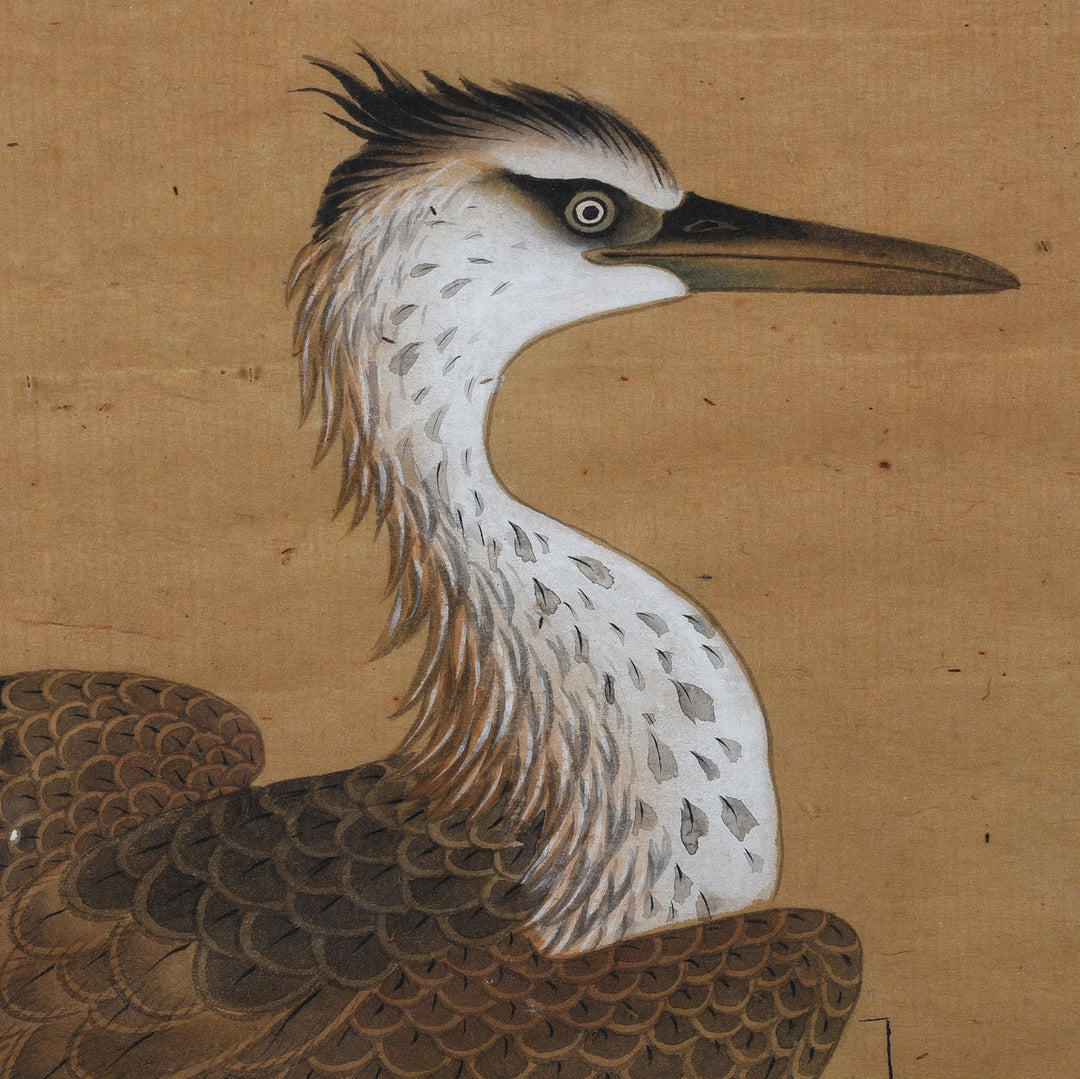 Face Detail From Japanese Watercolour Egret Painting By Akaishi Mitebokashi Circa 1900
