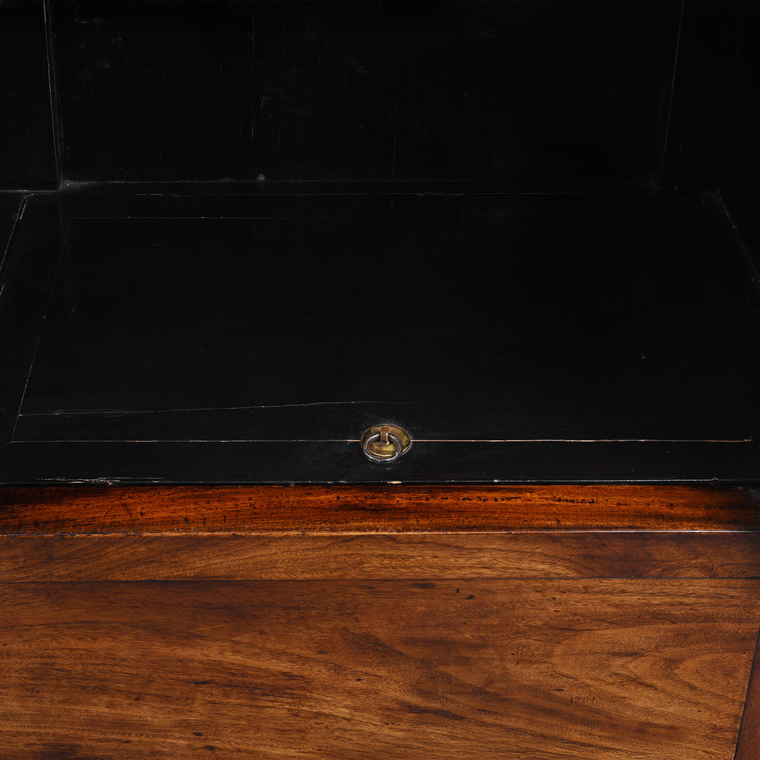 Panel Detail From Large Nineteenth Century Elm Compound Cabinet From Tianjin With Metal Hinges And Black Lacquered Interior | Indigo Antiques