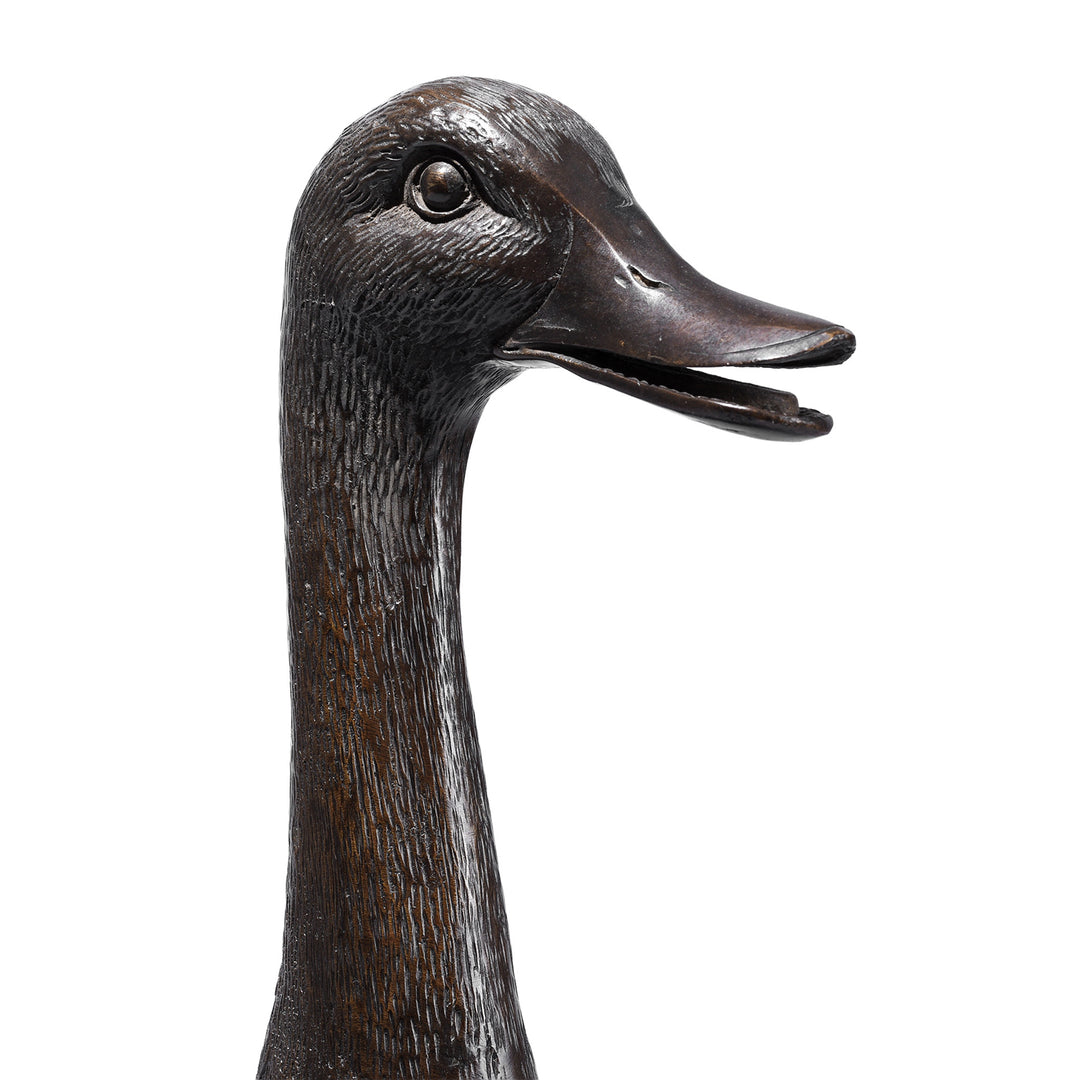 Face Detail From Antique Japanese Bronze Duck Okimono | Indigo Antiques