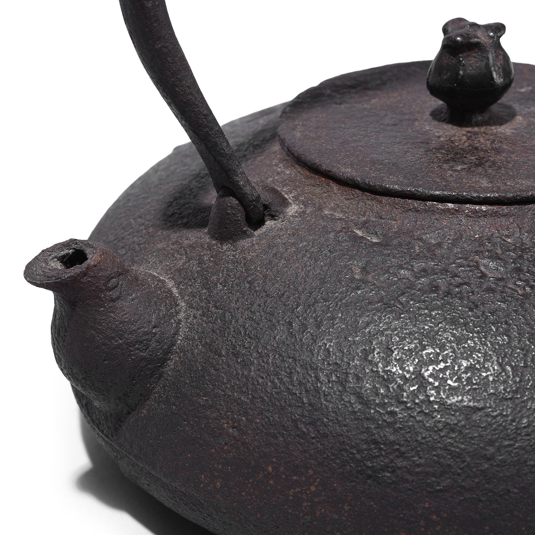 Spout Detail From Edo Period Japanese Cast Iron Kettle with Bamboo Mats | Indigo Antiques