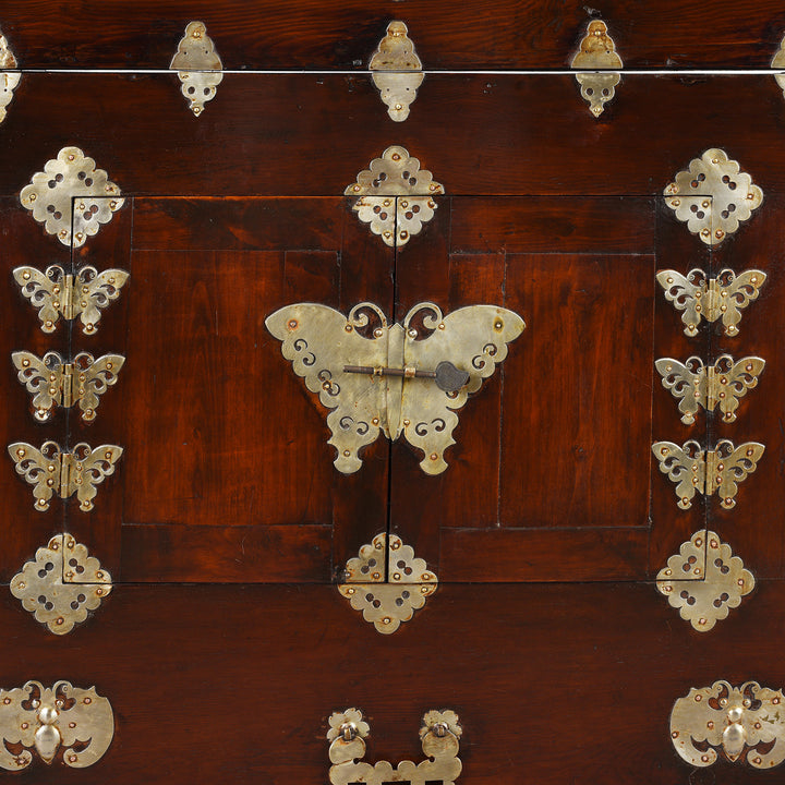 Yellow Brass Butterfly Doors Detail From Korean Ich Ung Nong | Indigo Antiques