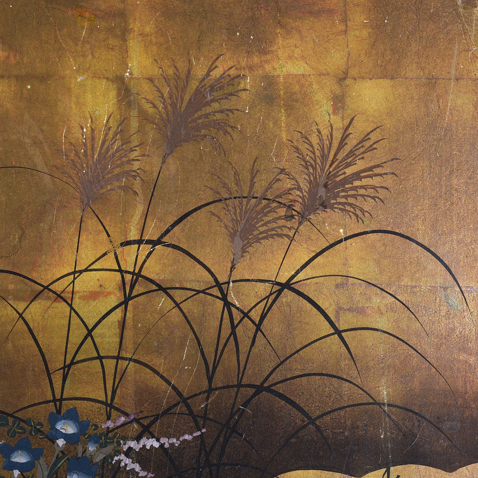Grass Detail From Early 20th-century Japanese byōbu screen with gold leaf background and Rinpa-style autumn grasses, chrysanthemums, bellflowers, and bush clover