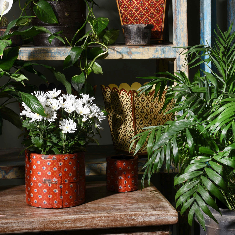 Indian hand painted pots and planters