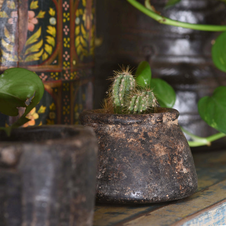 Antique Indian cooking pot for planters cactus and succulents
