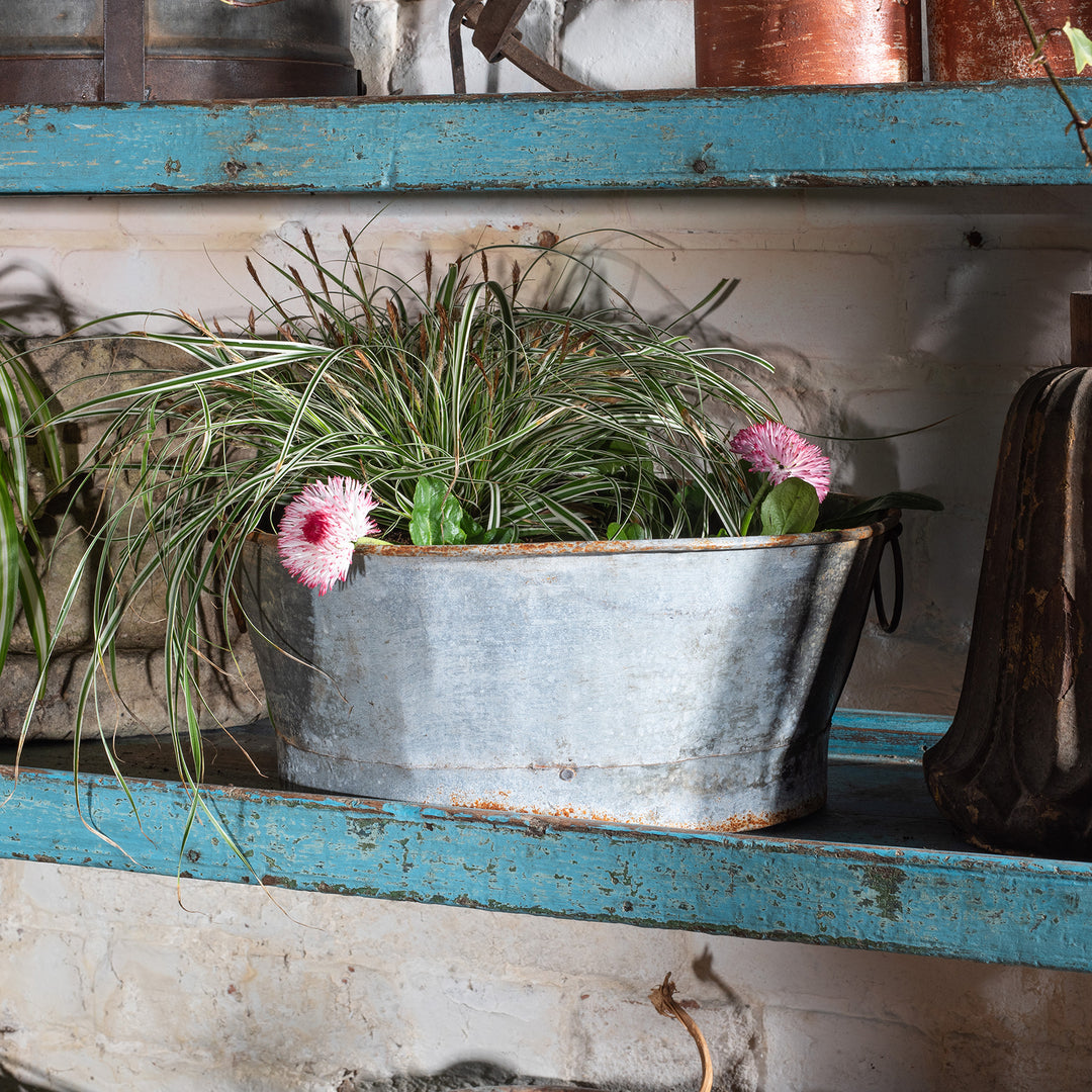 Lifestyle View Of Vintage Galvanised Planter - Various Sizes | Indigo Antiques