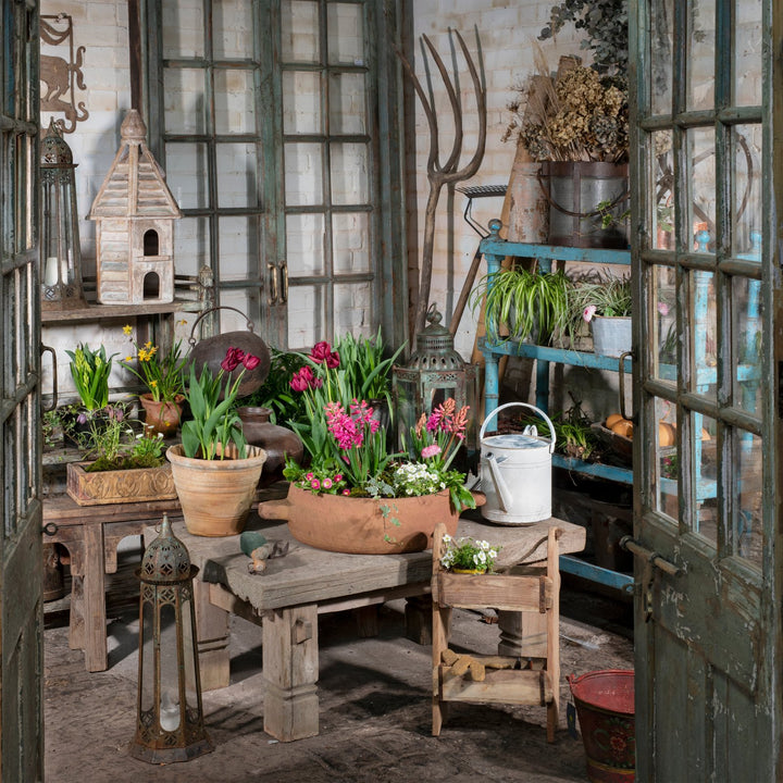 Painted Cedar Glass Panelled Indian Door From Shimla - 19thC | Indigo Antiques