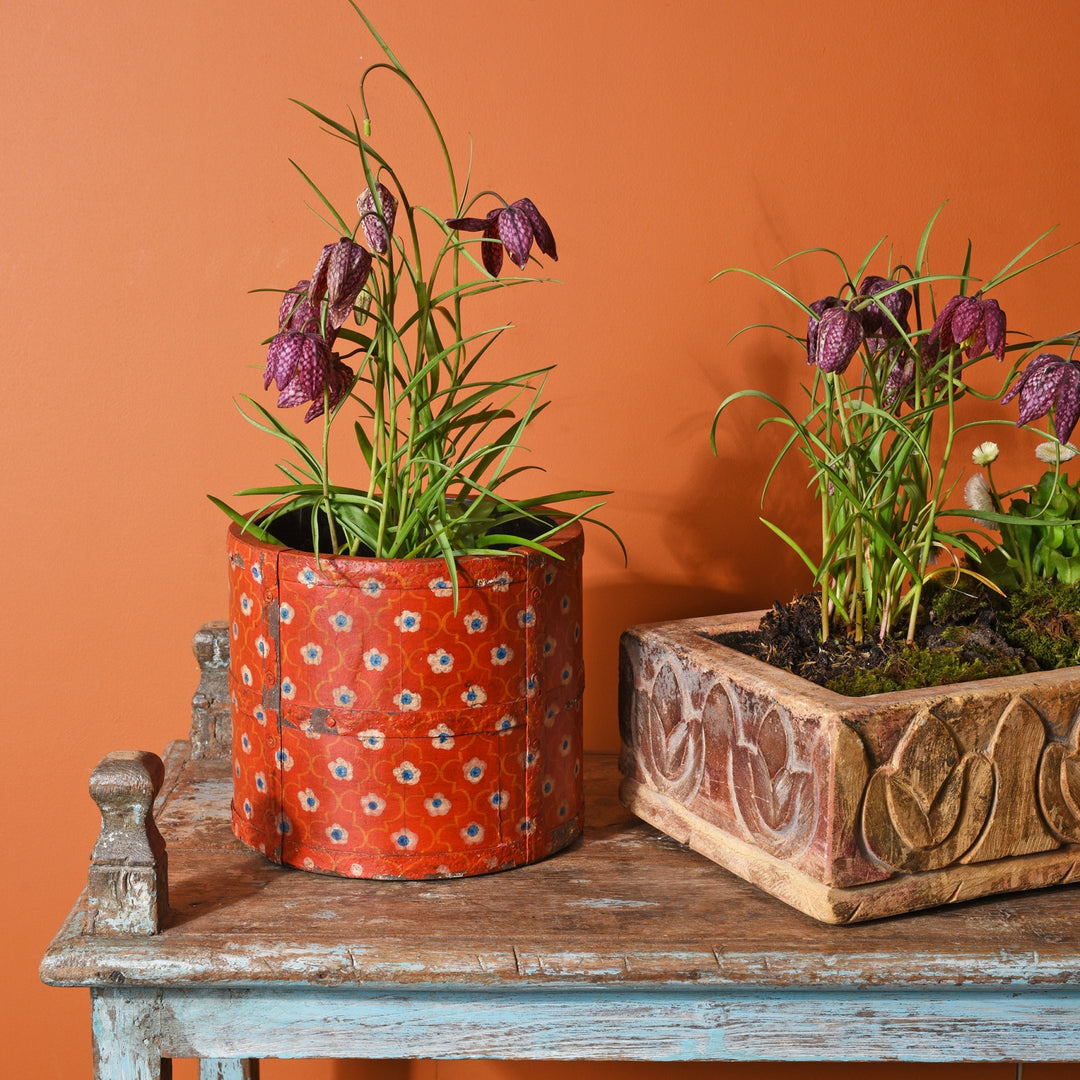 Indian Painted Pencil Pot Planter | Indigo Antiques