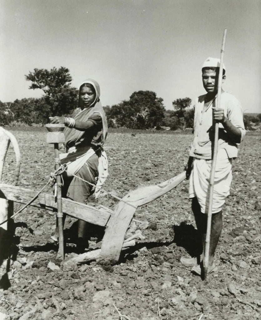Rosewood Seed Drills From Kerala - 19th Century