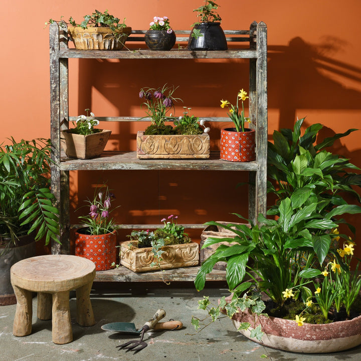 Antique Indian Green Painted Teak Shelf | Indigo Antiques