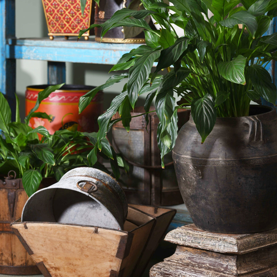 Oriental planters and rustic planters for your home. 