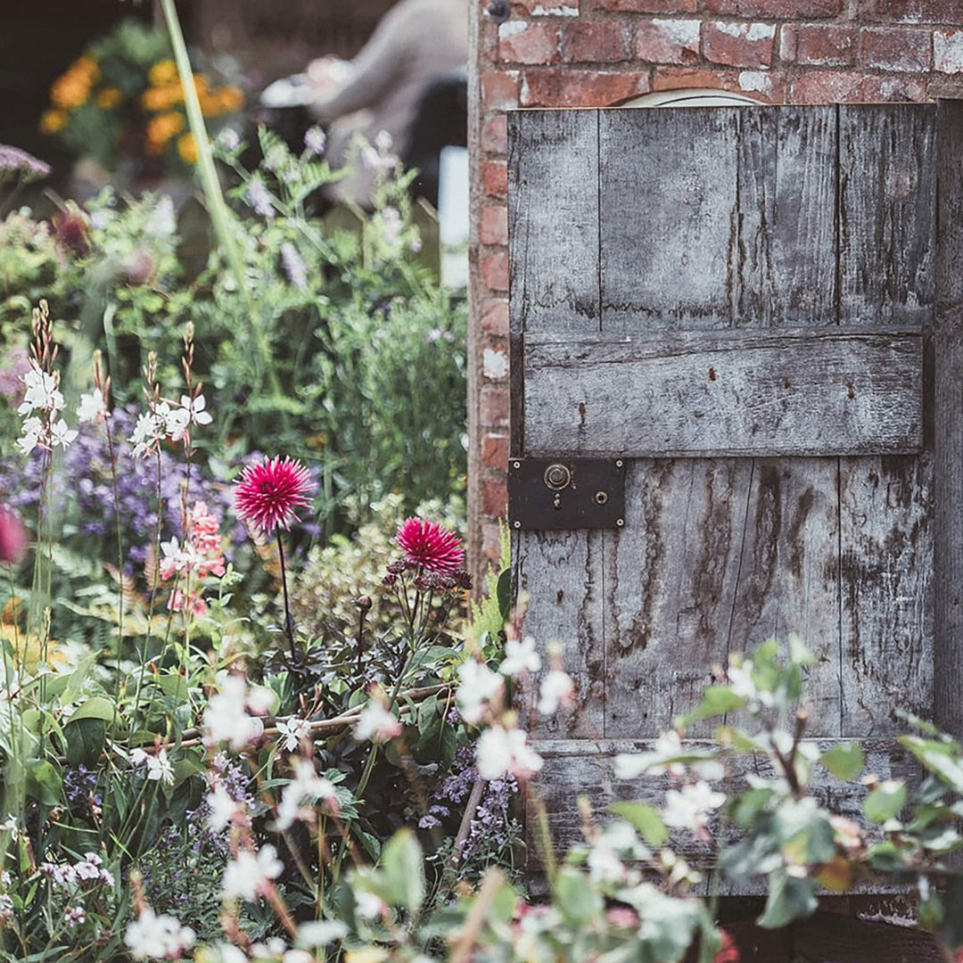 English Garden Classic Fragrance by True Grace (No. 69)