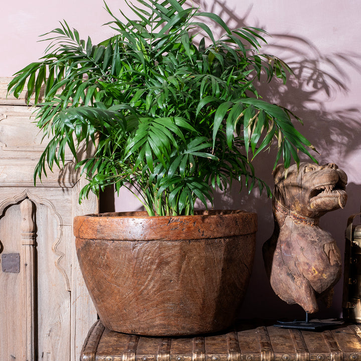 Antique indian Bowl | Indigo Antiques