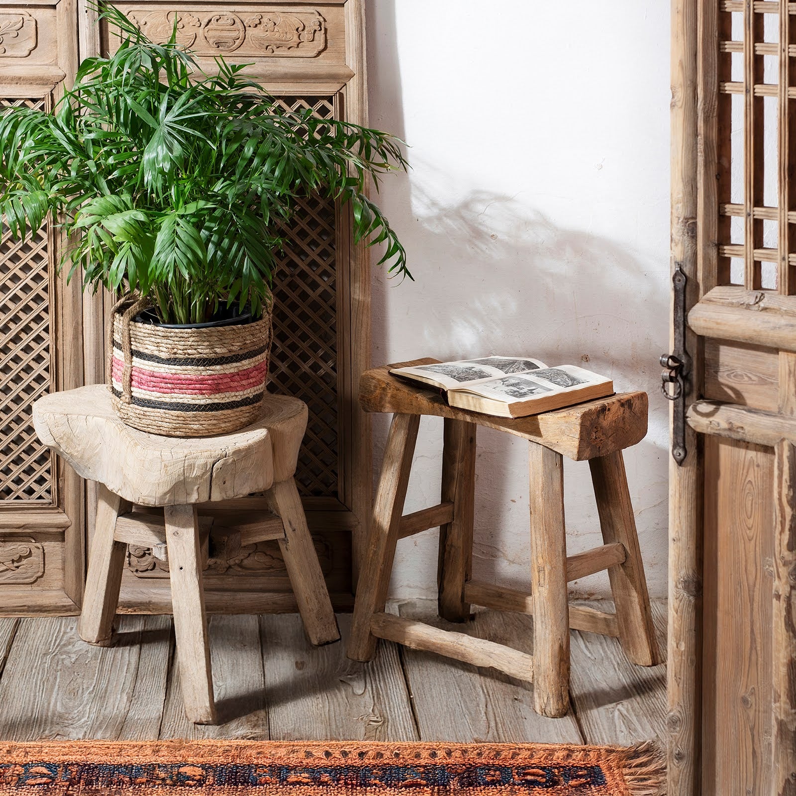 Houseplant on antique stool