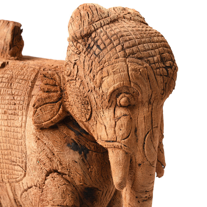 Face Detail From Antique Carved Teak Elephant Corbel From Maharashtra - 19th Century | Indigo Antiques
